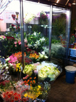 曽根生花店 Sone Flower Shop